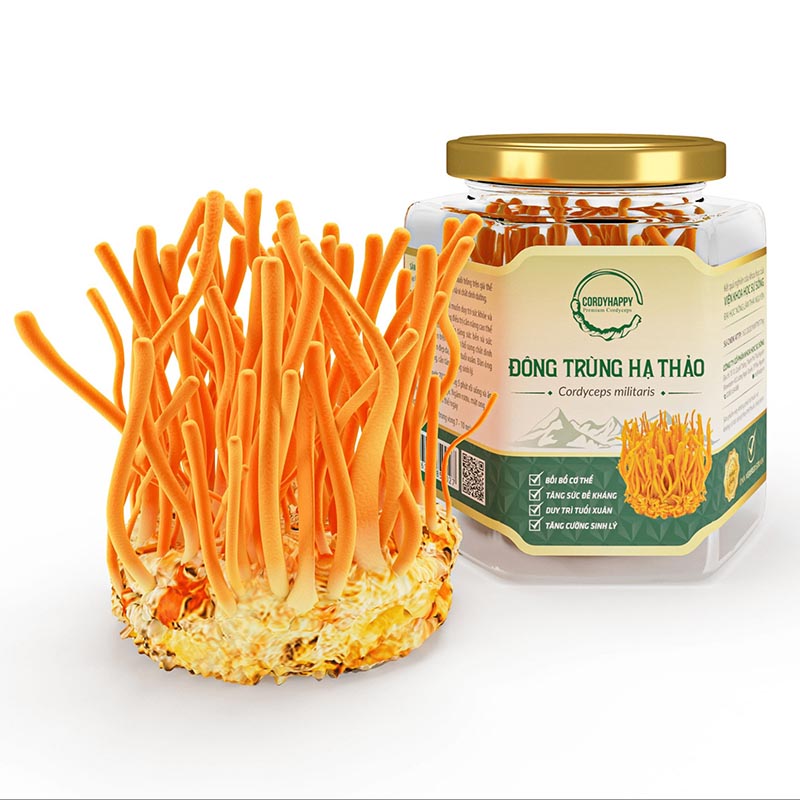 Mách Bạn Top 5 Địa Chỉ Mua Đông Trùng Hạ Thảo Ở Hà Nội - ma68.live