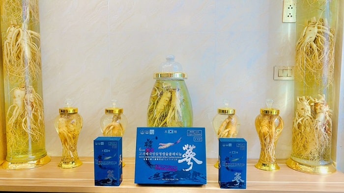 Top 5 Cửa Hàng Sâm Hàn Quốc Tại Hà Nội Uy Tín Nhất - ma68.live Top 5 Cửa Hàng Sâm Hàn Quốc Tại Hà Nội Uy Tín Nhất - ma68.live