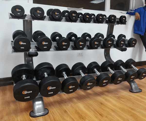 Xem Ngay Top 10 Địa Chỉ Mua Tạ Tay Ở Hà Nội Uy Tín - ma68.live Xem Ngay Top 10 Địa Chỉ Mua Tạ Tay Ở Hà Nội Uy Tín - ma68.live