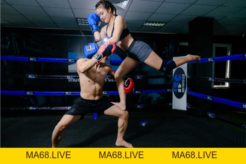 Top 10 Địa Chỉ Dạy Muay Thái Ở Hà Nội Chất Lượng Nhất - ma68.live