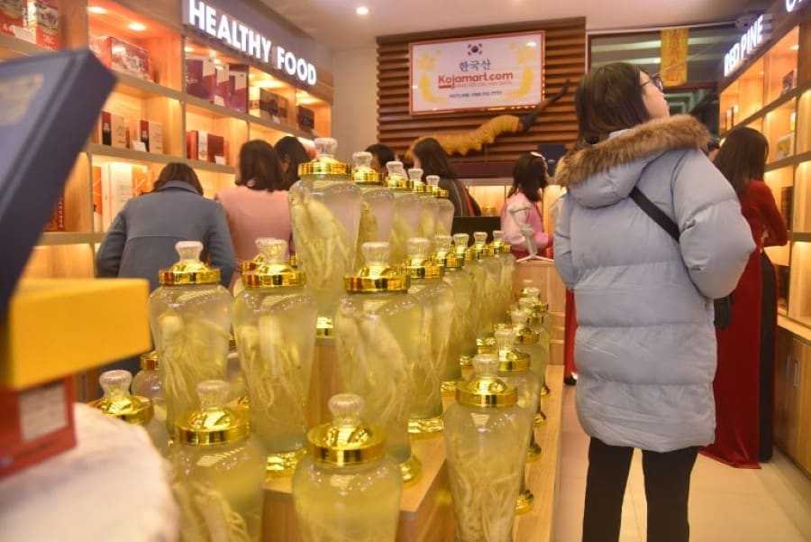 Top 10 Địa Chỉ Bán Nấm Linh Chi Hàn Quốc Tại Hà Nội Uy Tín - ma68.live