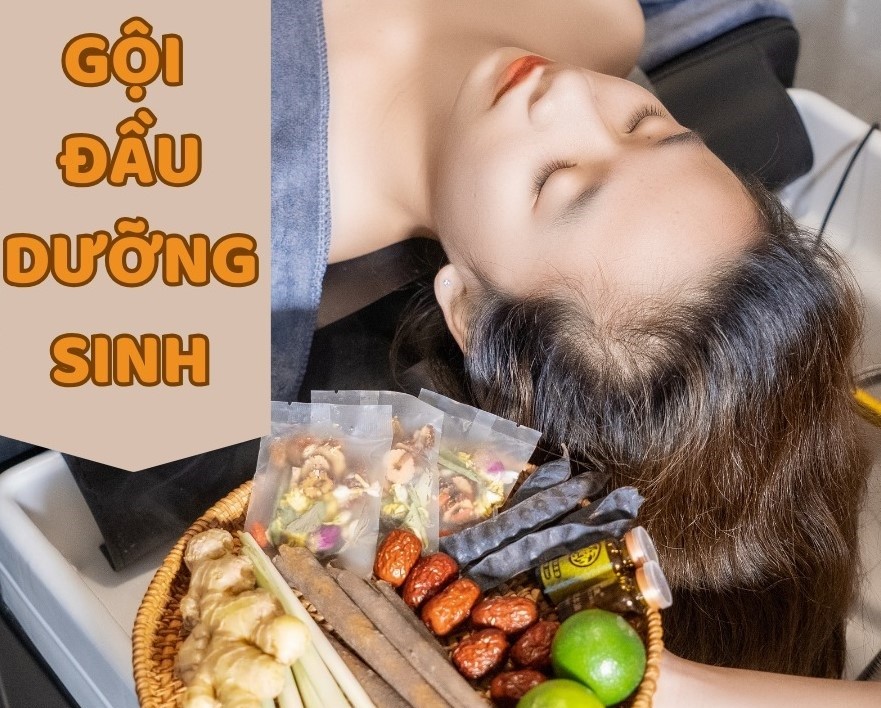 Top 5 Địa Chỉ Gội Đầu Dưỡng Sinh Cầu Giấy Chất Lượng - ma68.live