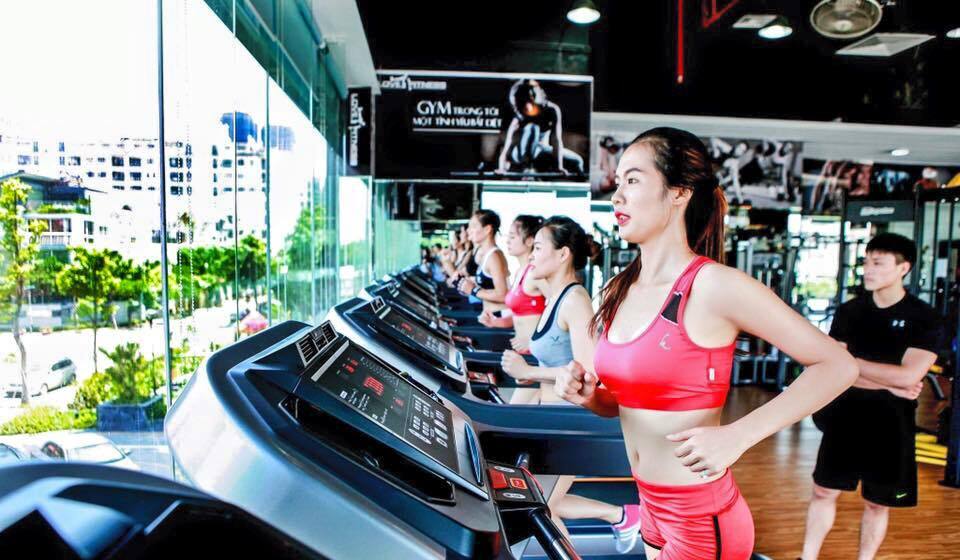 Khám Phá Top 10 Phòng Gym Cầu Giấy Uy Tín, Chất Lượng - ma68.live