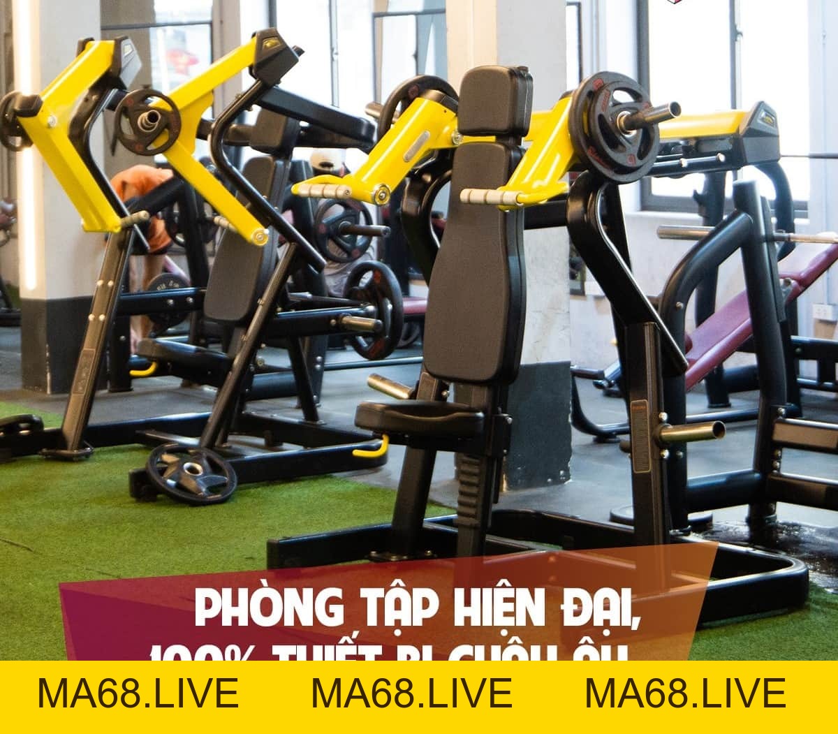 Khám Phá TOP 10 Phòng Gym Đống Đa Chất Lượng - ma68.live