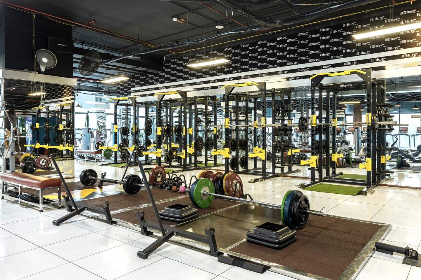 Khám Phá Top 10 Địa Chỉ Phòng Gym Thanh Xuân Chuyên Nghiệp - ma68.live