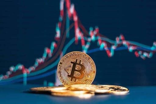 Tổng hợp tân tần tật từ A-Z các dịch vụ có ở Hà Nội - ma68.live