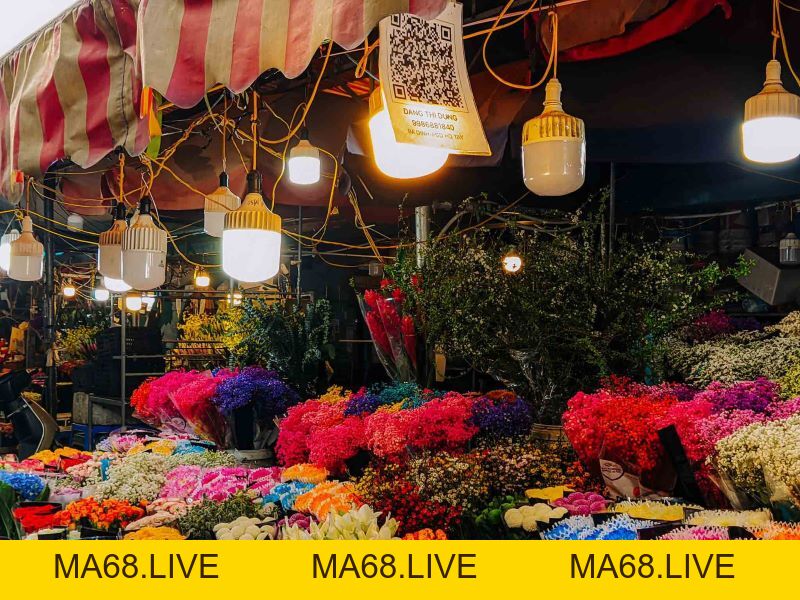 Gợi Ý Top 10 Địa Điểm Chụp Ảnh Áo Dài Tết Ở Hà Nội - ma68.live