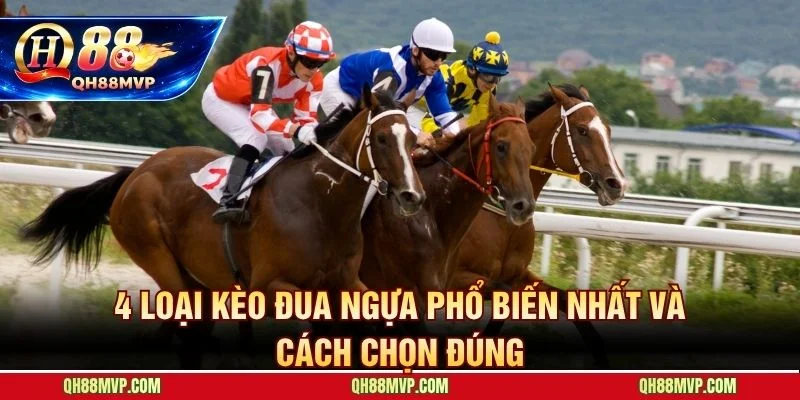Cá Cược Đua Ngựa | Hướng Dẫn Cho Người Mới Tại QH88 - QH88 - ma68.live