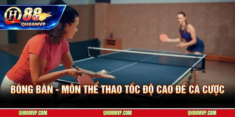 Cá Cược Bóng Bàn Tại QH88 | Hướng Dẫn Kèo Và Mẹo Đánh Rung - QH88 - ma68.live