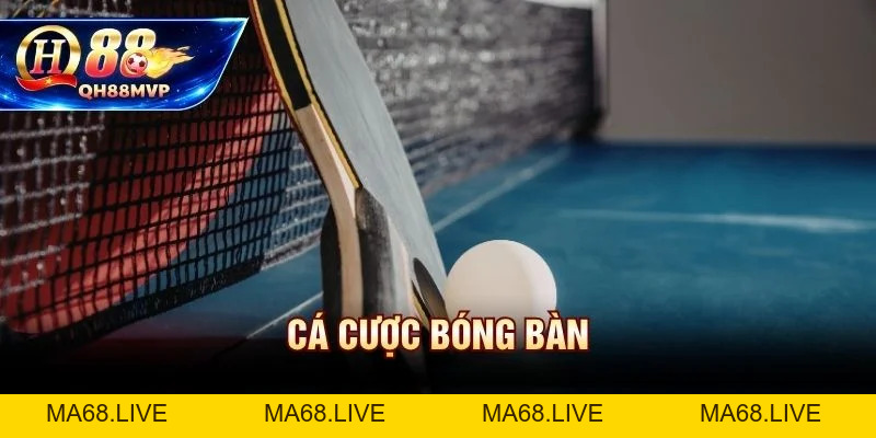 Cá Cược Bóng Bàn Tại QH88 | Hướng Dẫn Kèo Và Mẹo Đánh Rung - QH88 - ma68.live
