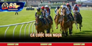 Thể Thao - QH88 - ma68.live