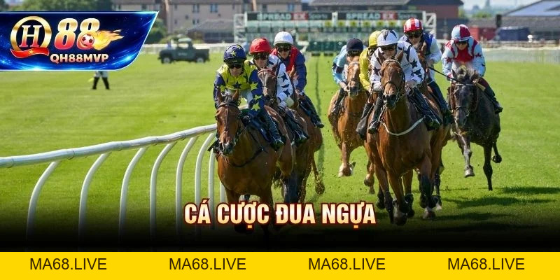 Cá Cược Đua Ngựa | Hướng Dẫn Cho Người Mới Tại QH88 - QH88 - ma68.live