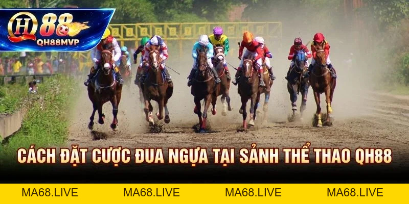 Cá Cược Đua Ngựa | Hướng Dẫn Cho Người Mới Tại QH88 - QH88 - ma68.live