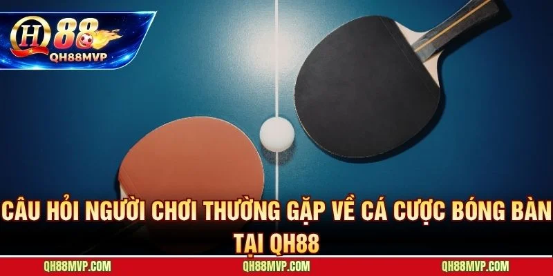 Cá Cược Bóng Bàn Tại QH88 | Hướng Dẫn Kèo Và Mẹo Đánh Rung - QH88 - ma68.live
