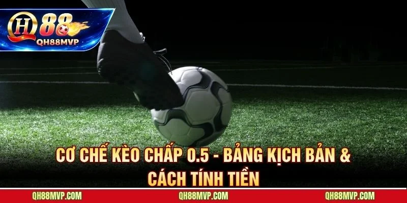Kèo Nửa Trái Là Gì - Chấp 0.5 Thắng Thua Tuyệt Đối - QH88 - ma68.live