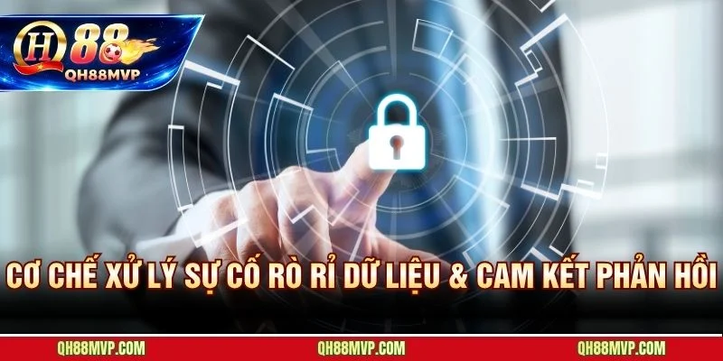 Chính Sách Bảo Mật QH88 | Chúng Tôi Cam Kết An Toàn Dữ Liệu Người Chơi - QH88 - ma68.live