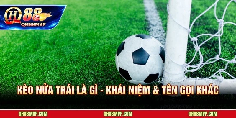 Kèo Nửa Trái Là Gì - Chấp 0.5 Thắng Thua Tuyệt Đối - QH88 - ma68.live
