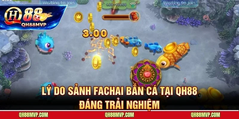 Bắn Cá Fachai Tại Qh88 - Chinh Phục Đại Dương Săn Thưởng Lớn - QH88 - ma68.live