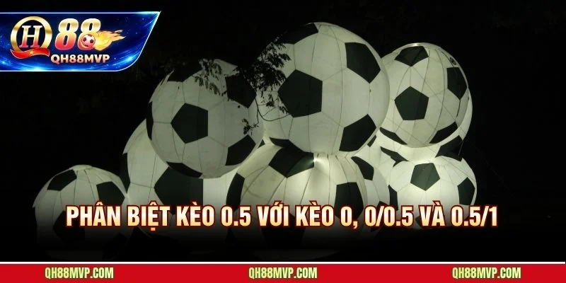 Kèo Nửa Trái Là Gì - Chấp 0.5 Thắng Thua Tuyệt Đối - QH88 - ma68.live