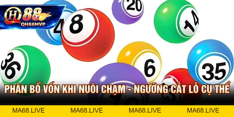 Đề Chạm QH88 - Hướng Dẫn Nuôi Dàn Chạm Theo Tuần - QH88 - ma68.live