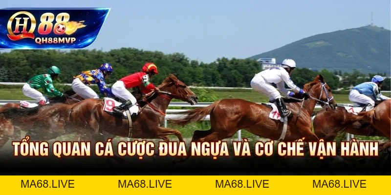 Cá Cược Đua Ngựa | Hướng Dẫn Cho Người Mới Tại QH88 - QH88 - ma68.live