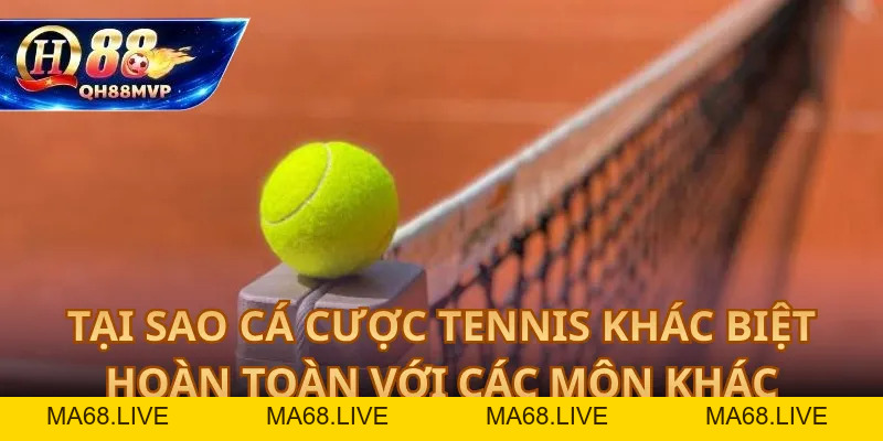 Cá Cược Tennis QH88 – Hướng Dẫn Soi Kèo Chuẩn, Tăng Tỷ Lệ Thắng - QH88 - ma68.live