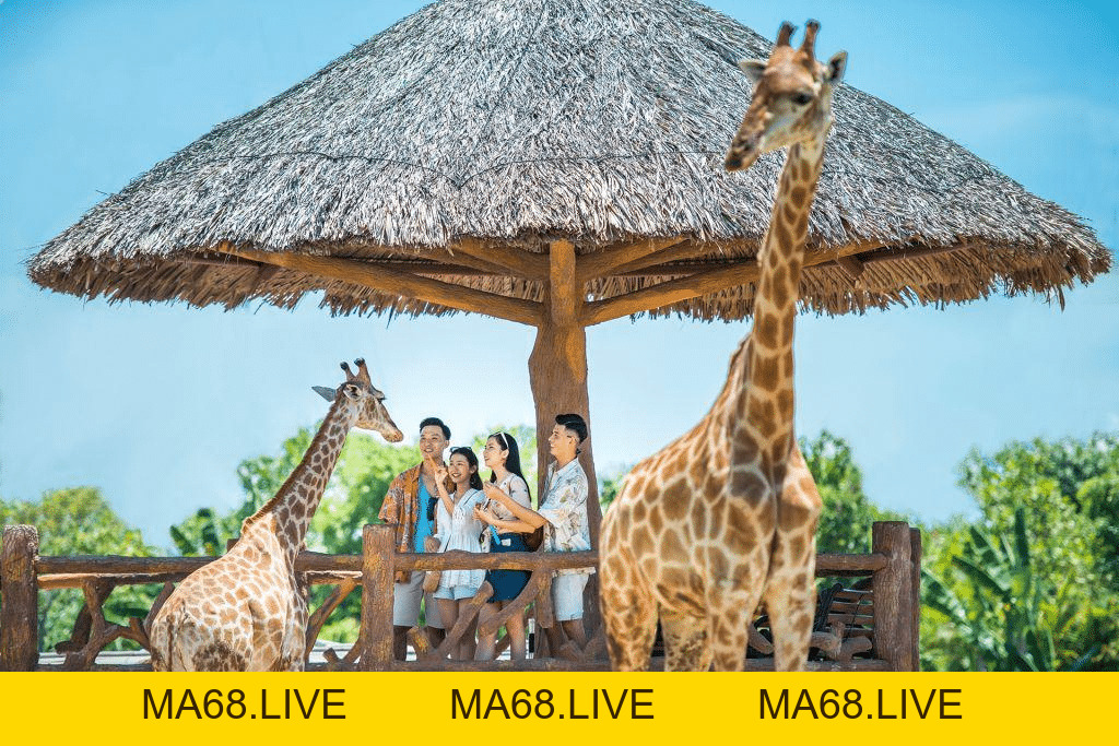 Tổng hợp những kinh nghiệm du lịch về lưu trú, ẩm thực Hà Nội - ma68.live